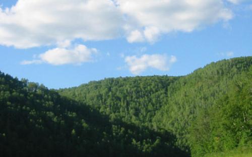 Canotage_Riviere_Restigouche.jpg